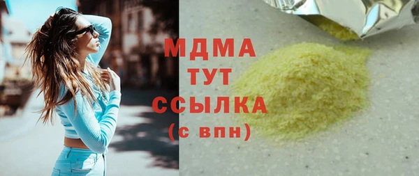 дживик Ельня