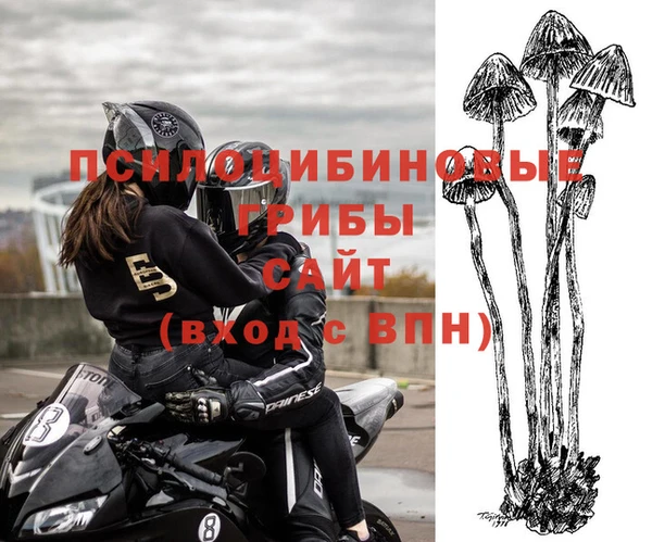спиды Беломорск