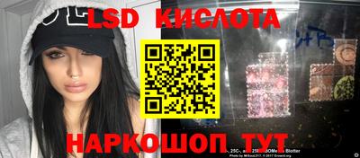 ГАЛЛЮЦИНОГЕННЫЕ ГРИБЫ Лесной