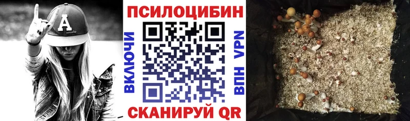 Галлюциногенные грибы прущие грибы  где можно купить наркотик  Дальнегорск 